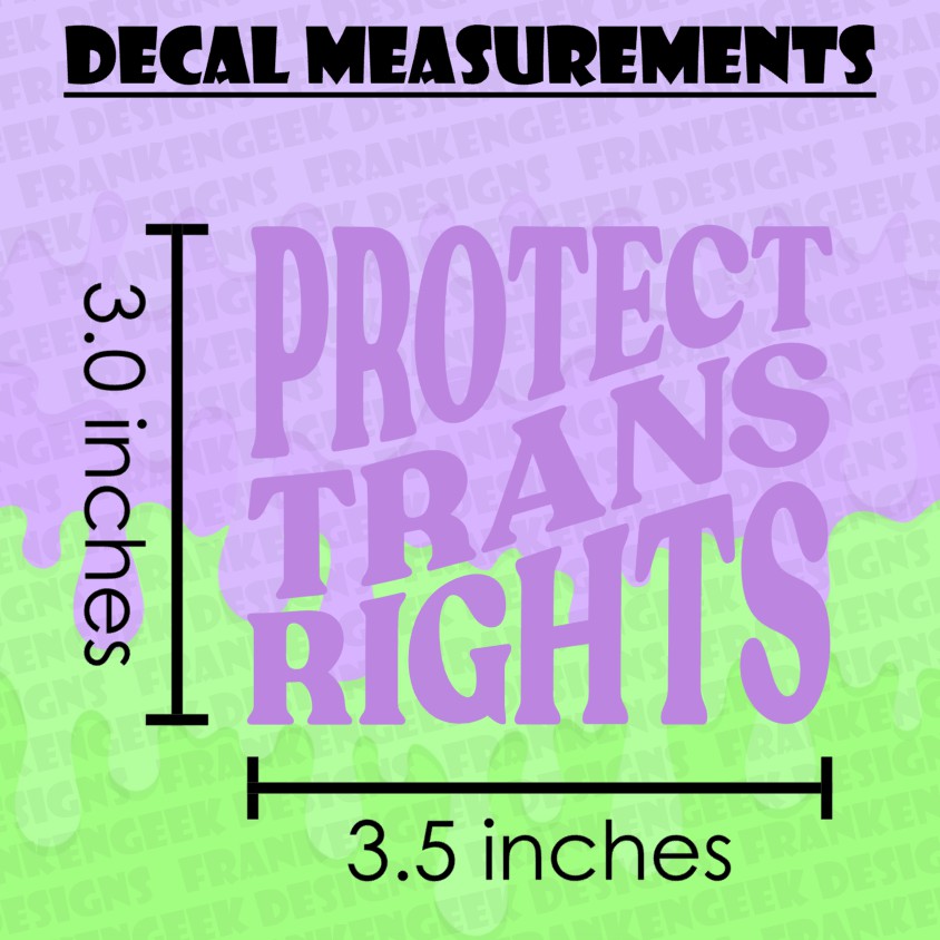 Protect Trans Rights Vinyl Pride Decal